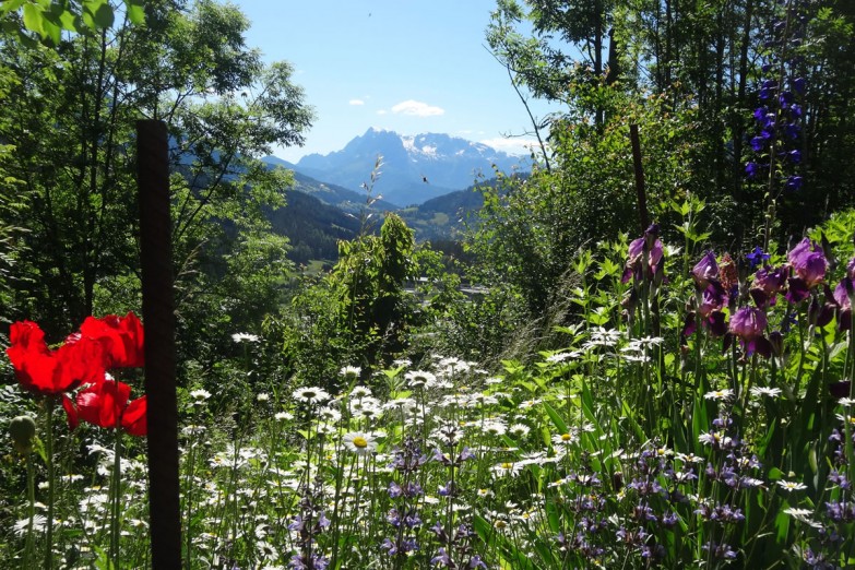 Ausblick auf den Hochkönig