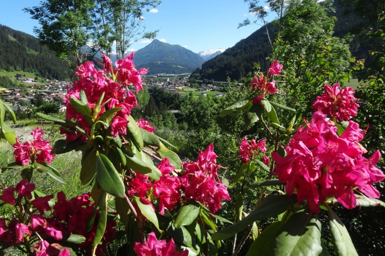 Ausblick Richtung Lackenkogel