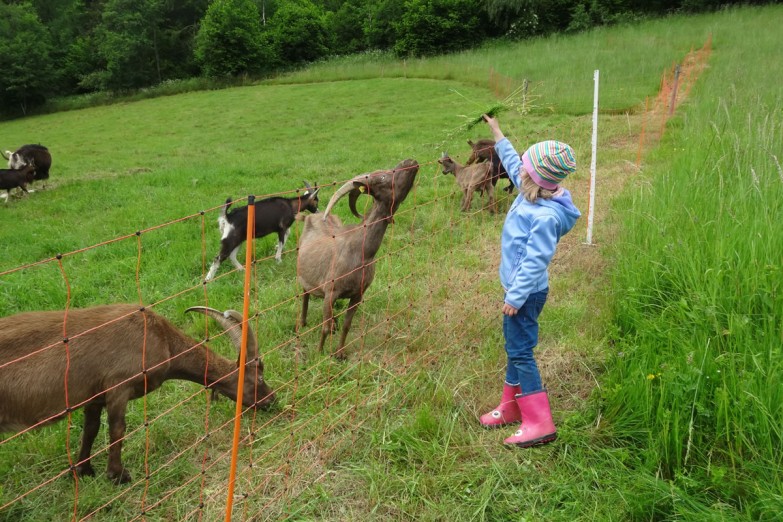 Urlaub ganz nah an der Natur