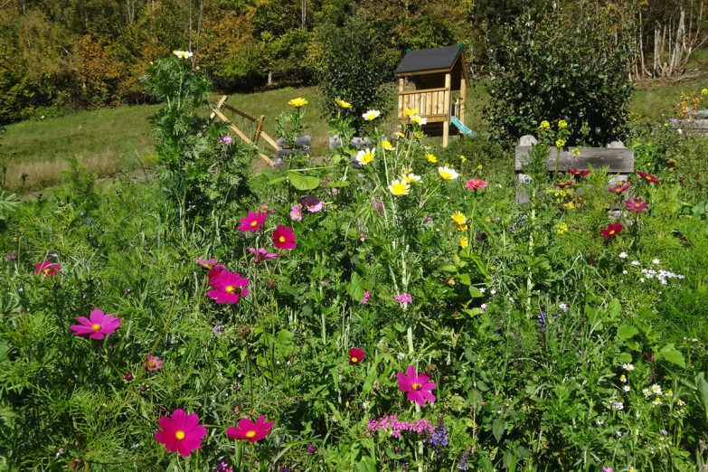 Ein Spielplatz mitten im Grünen